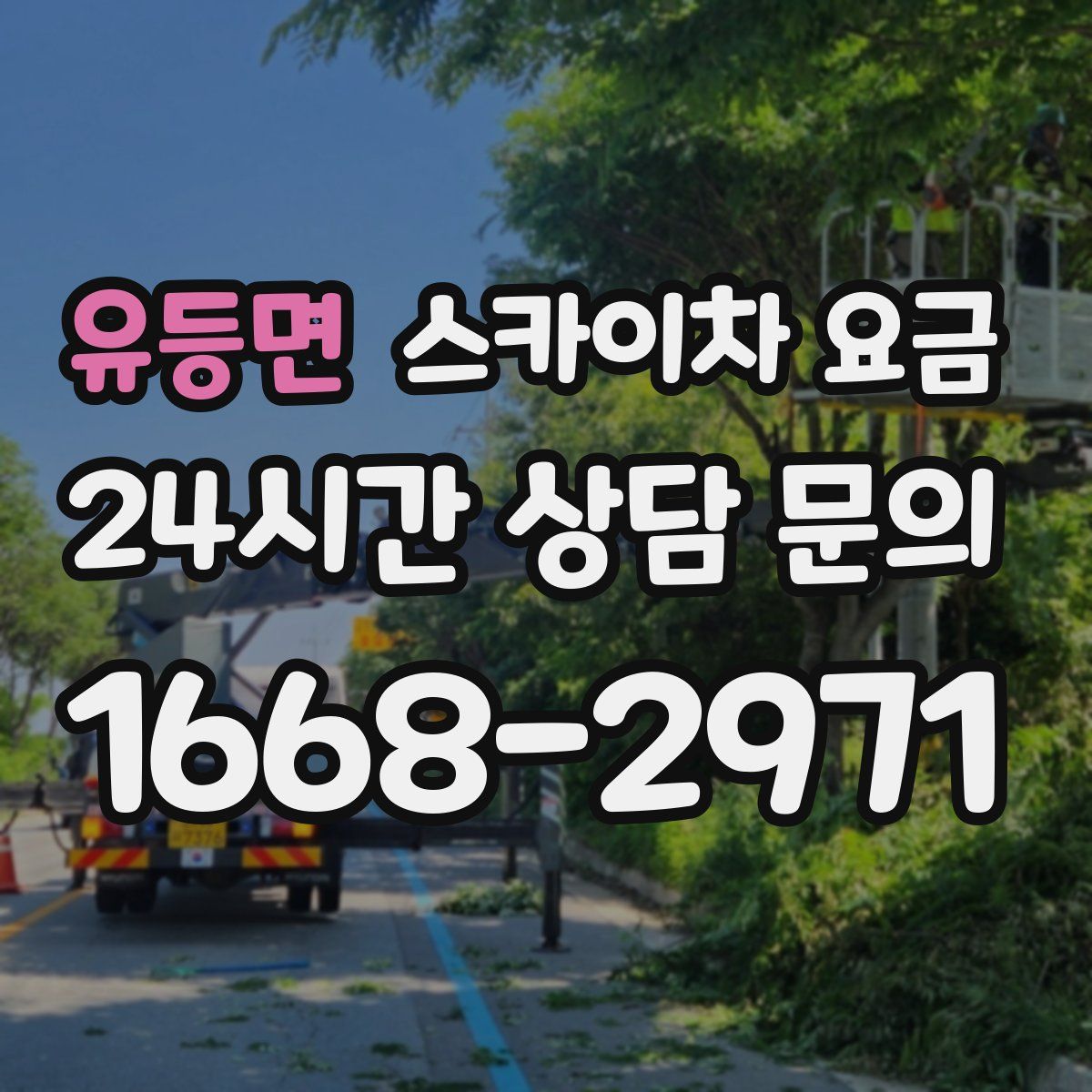 유등면 스카이차 요금