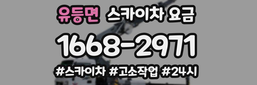 유등면 스카이차 요금