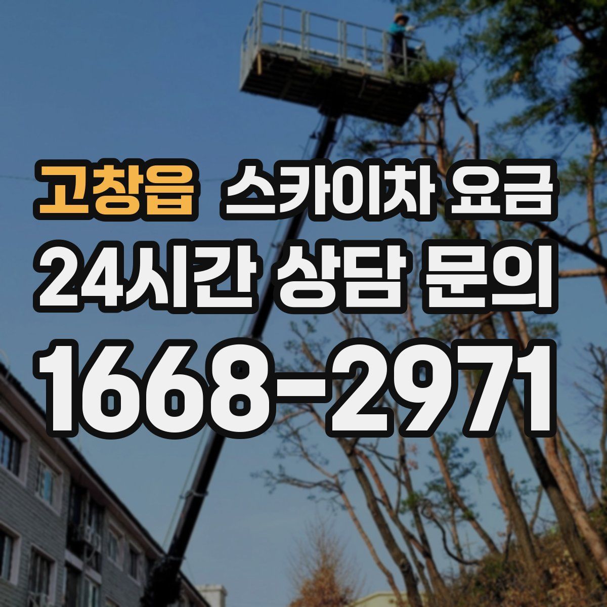 고창읍 스카이차 요금