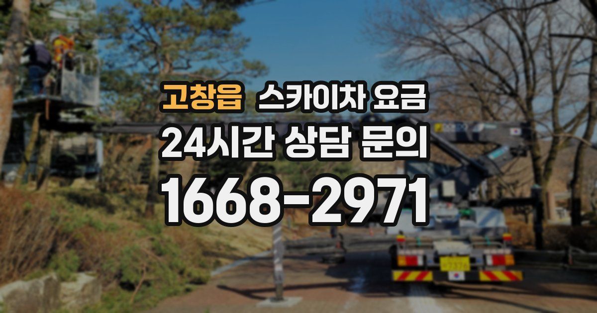 고창읍 스카이차 요금