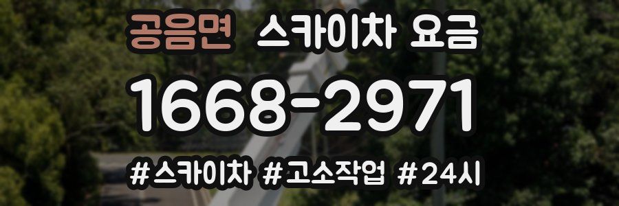 공음면 스카이차 요금
