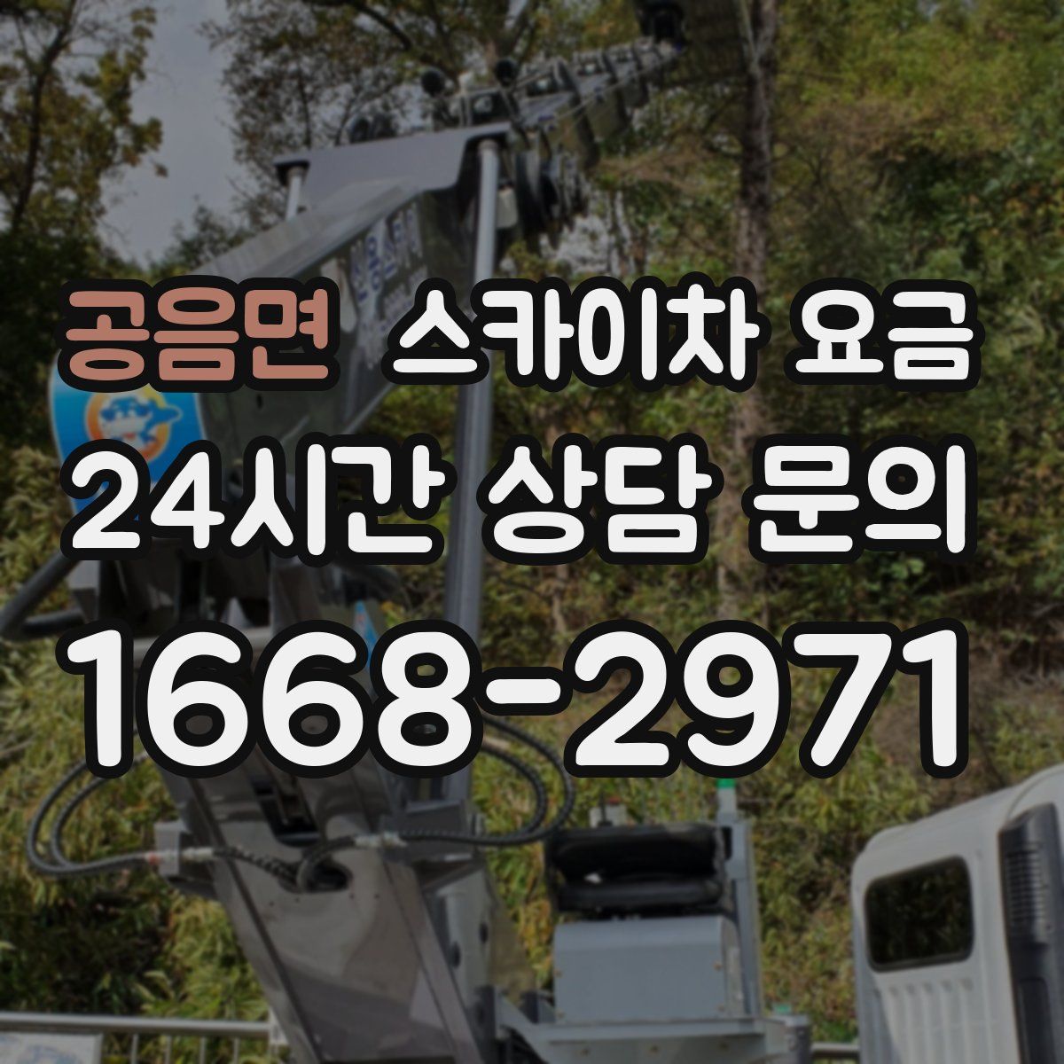 공음면 스카이차 요금