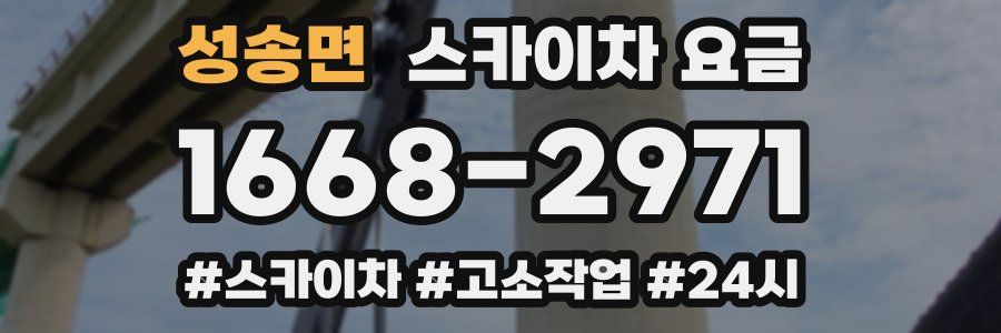 성송면 스카이차 요금