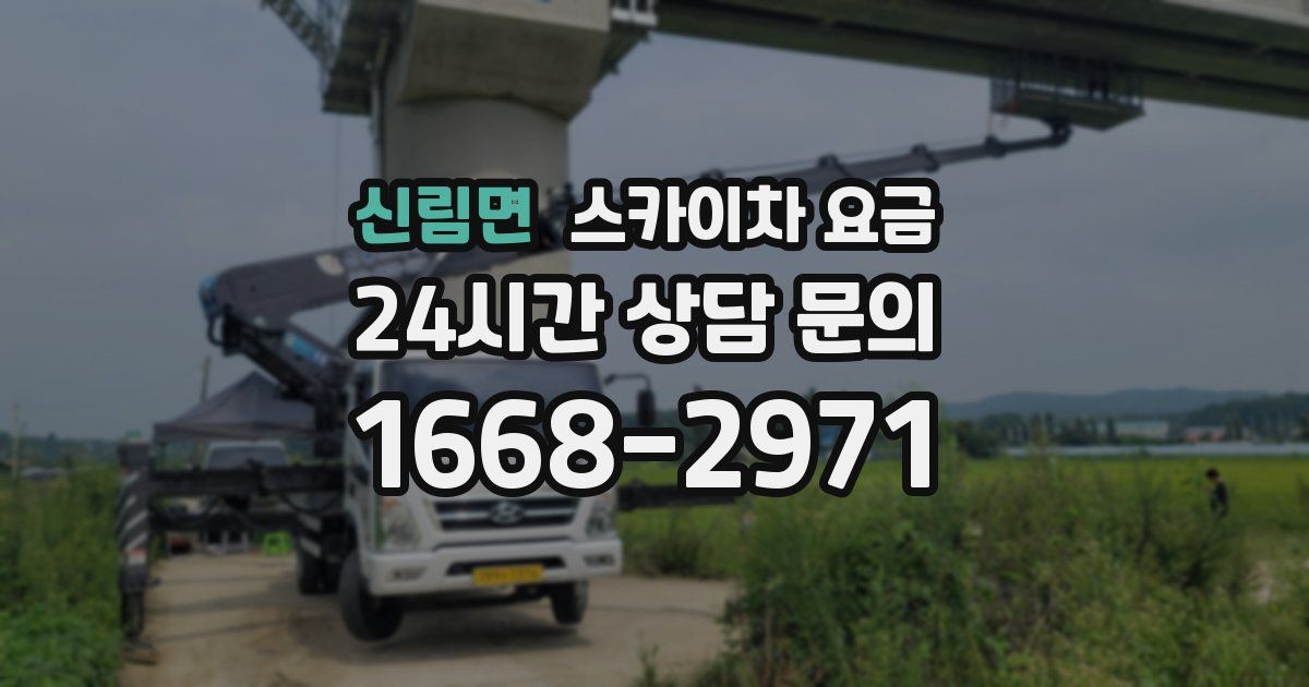 신림면 스카이차 요금