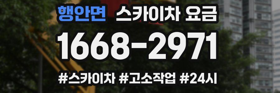행안면 스카이차 요금