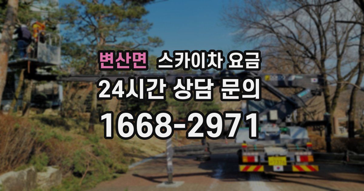 변산면 스카이차 요금
