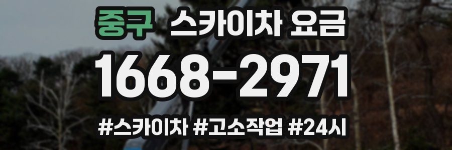 중구 스카이차 요금