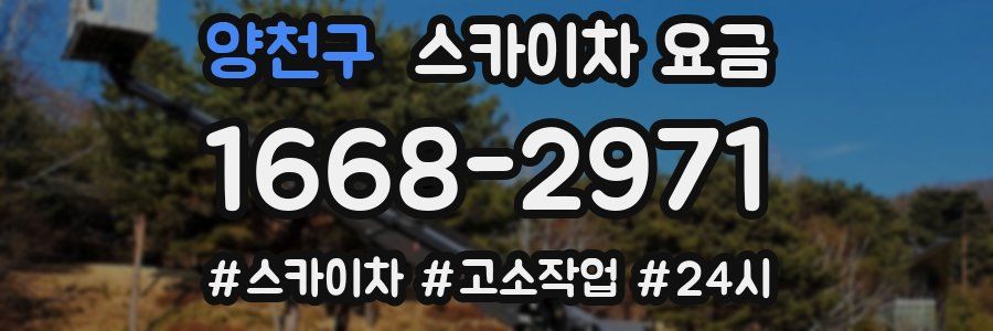 양천구 스카이차 요금