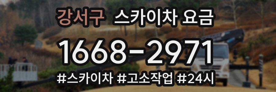 강서구 스카이차 요금