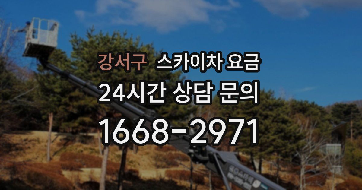 강서구 스카이차 요금