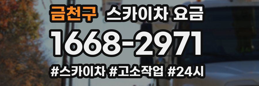 금천구 스카이차 요금