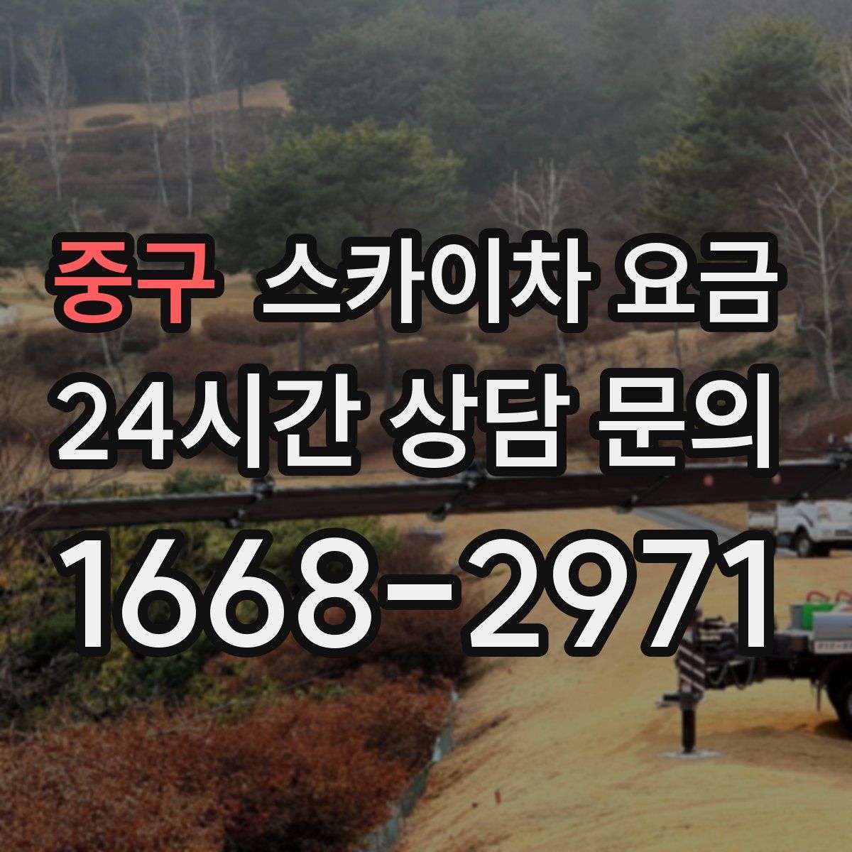 중구 스카이차 요금