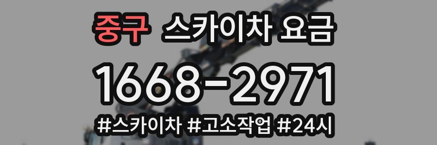 중구 스카이차 요금
