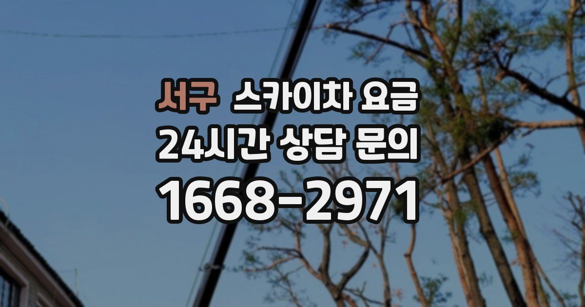 서구 스카이차 요금