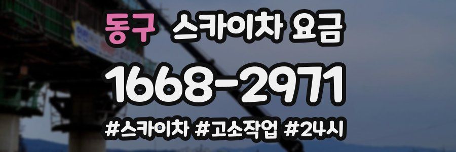 동구 스카이차 요금