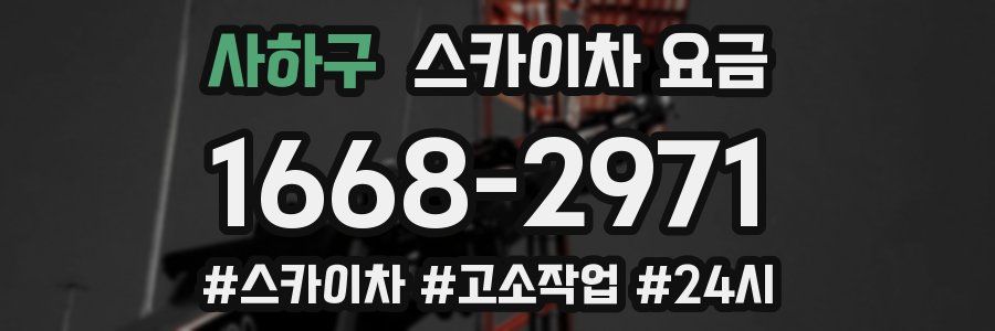 사하구 스카이차 요금