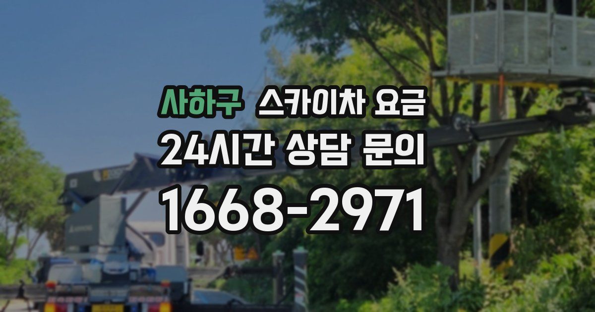 사하구 스카이차 요금