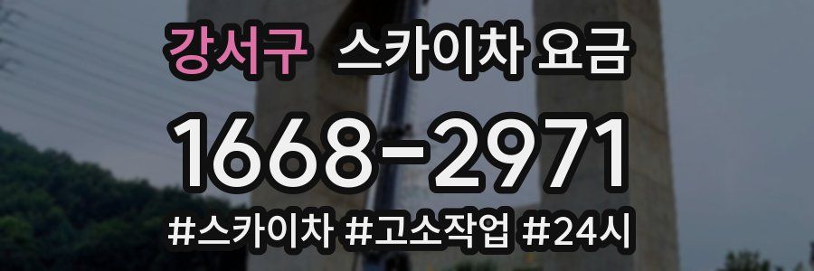 강서구 스카이차 요금