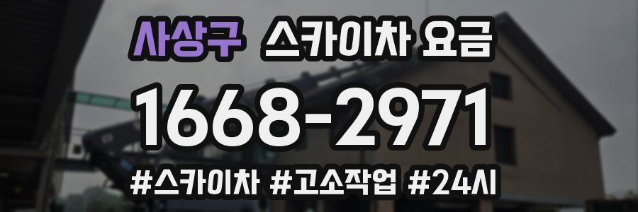 사상구 스카이차 요금