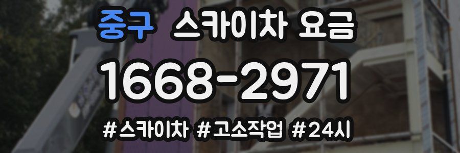 중구 스카이차 요금