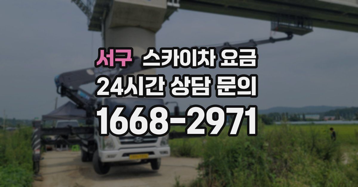 서구 스카이차 요금
