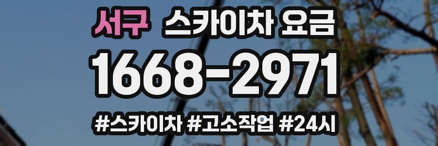 서구 스카이차 요금