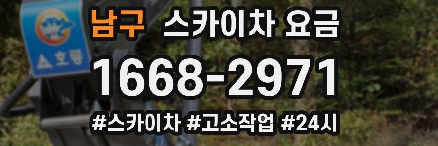 남구 스카이차 요금
