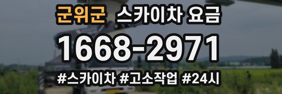 군위군 스카이차 요금