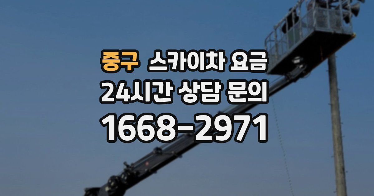 중구 스카이차 요금