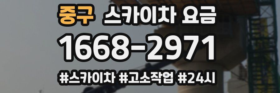 중구 스카이차 요금
