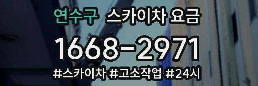 연수구 스카이차 요금