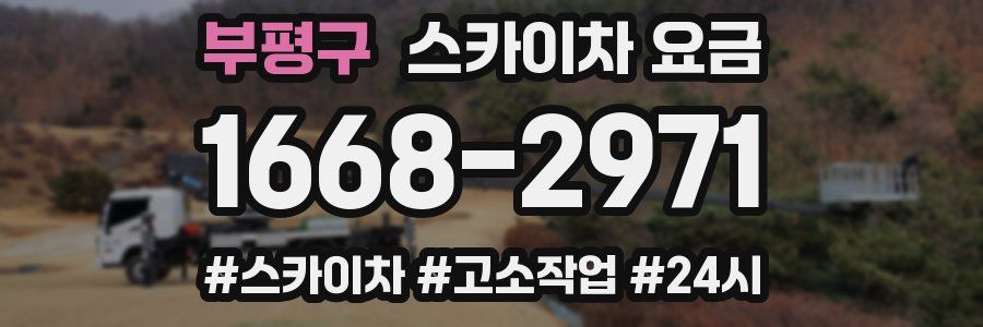 부평구 스카이차 요금