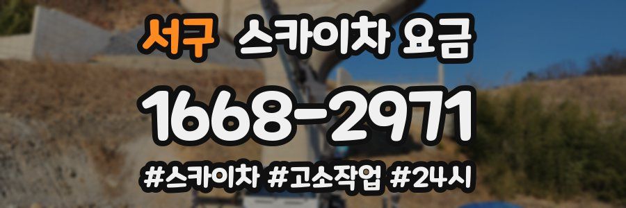 서구 스카이차 요금