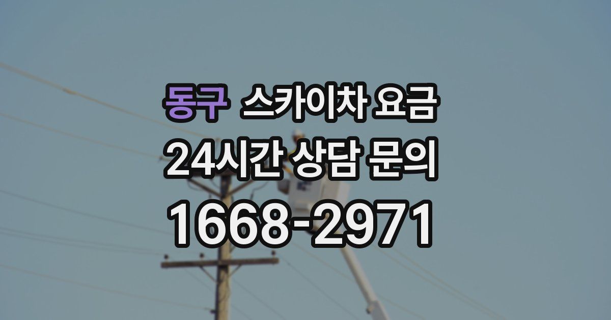 동구 스카이차 요금