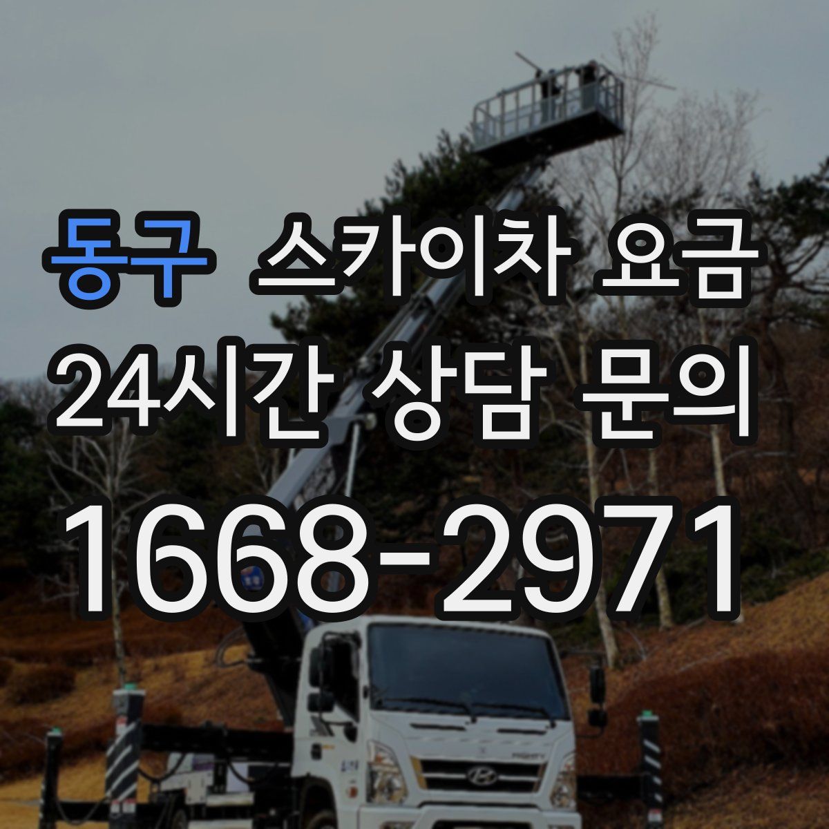 동구 스카이차 요금