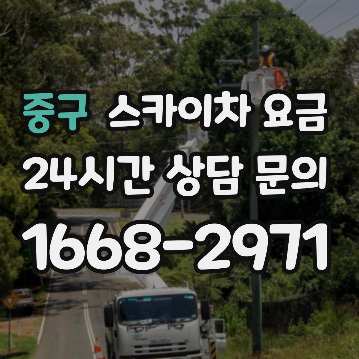 중구 스카이차 요금