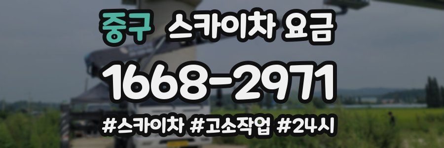 중구 스카이차 요금