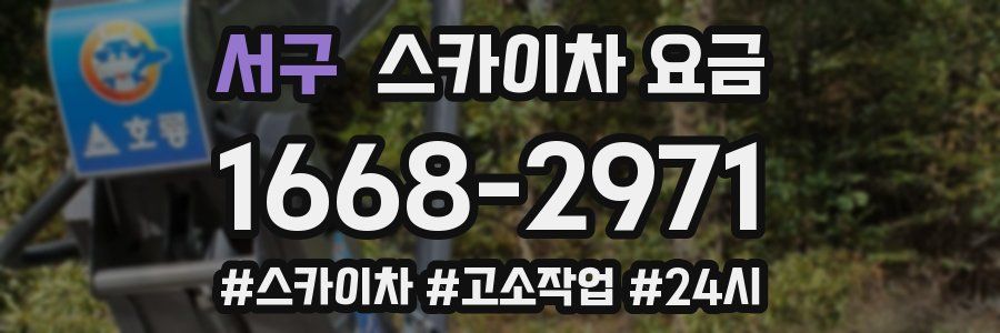 서구 스카이차 요금