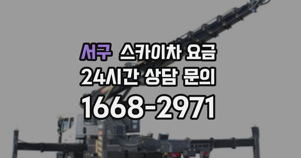 서구 스카이차 요금