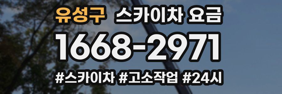 유성구 스카이차 요금