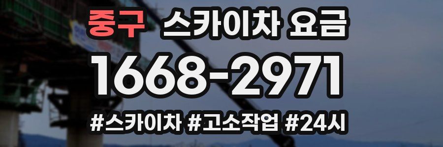 중구 스카이차 요금