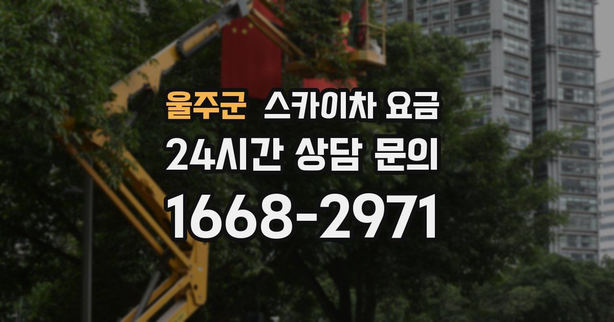 울주군 스카이차 요금