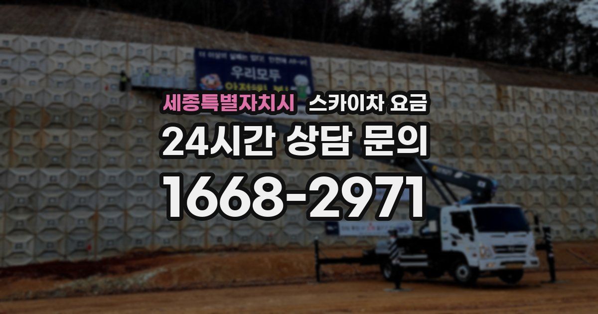 세종특별자치시 스카이차 요금