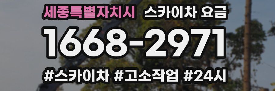 세종특별자치시 스카이차 요금