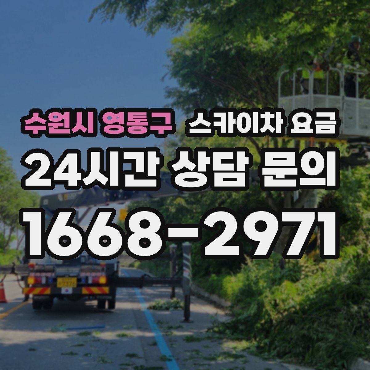 수원시 영통구 스카이차 요금