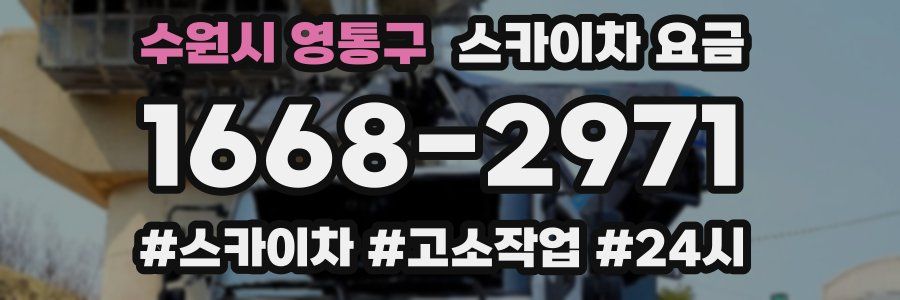 수원시 영통구 스카이차 요금