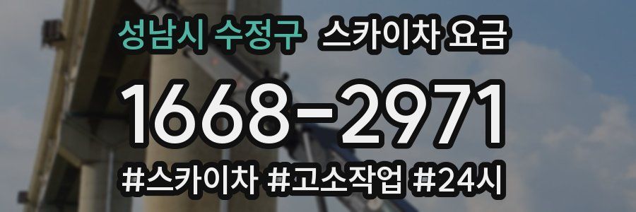 성남시 수정구 스카이차 요금