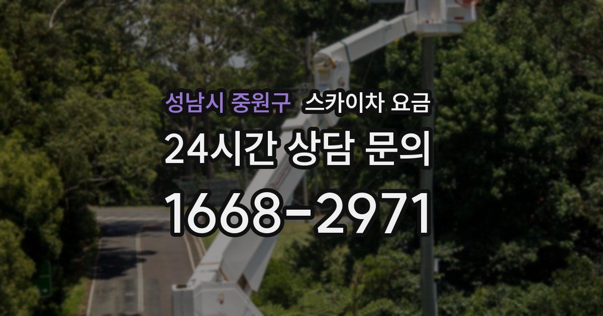성남시 중원구 스카이차 요금