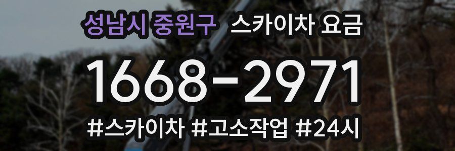 성남시 중원구 스카이차 요금