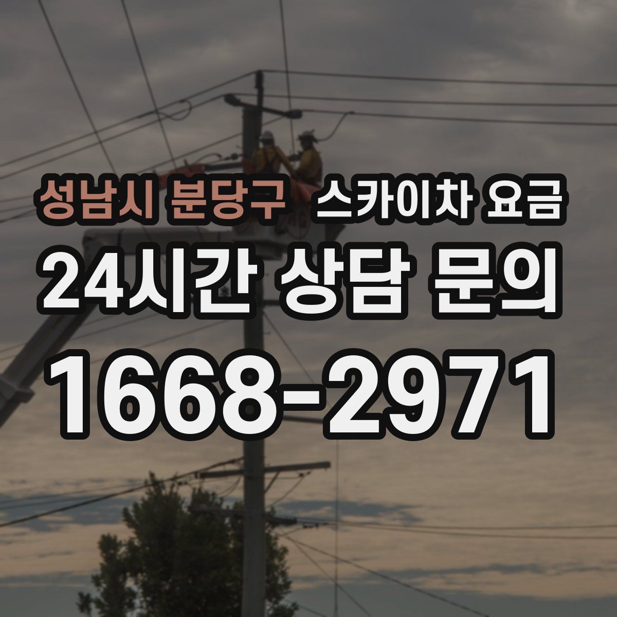 성남시 분당구 스카이차 요금